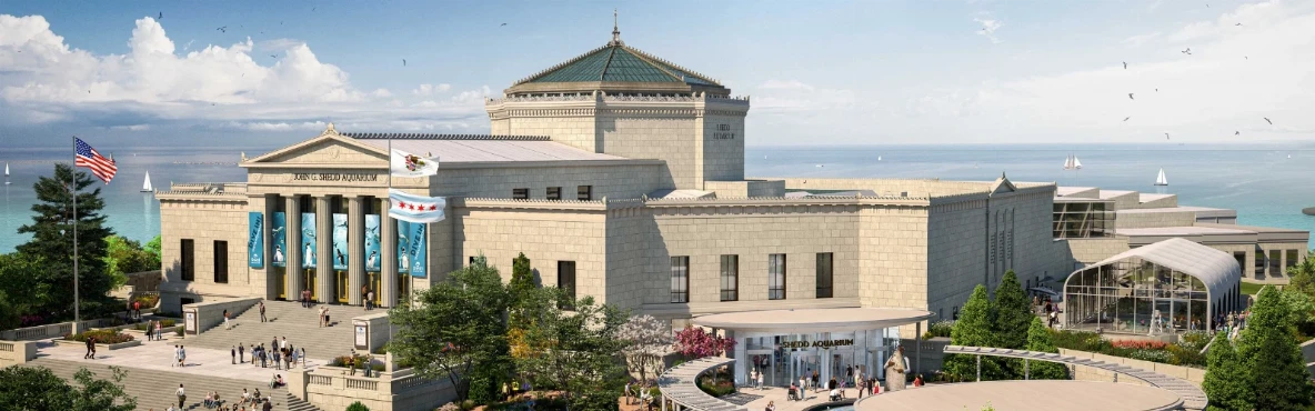 12 Incredible Hotels Near Shedd Aquarium for the Ultimate Chicago Staycation