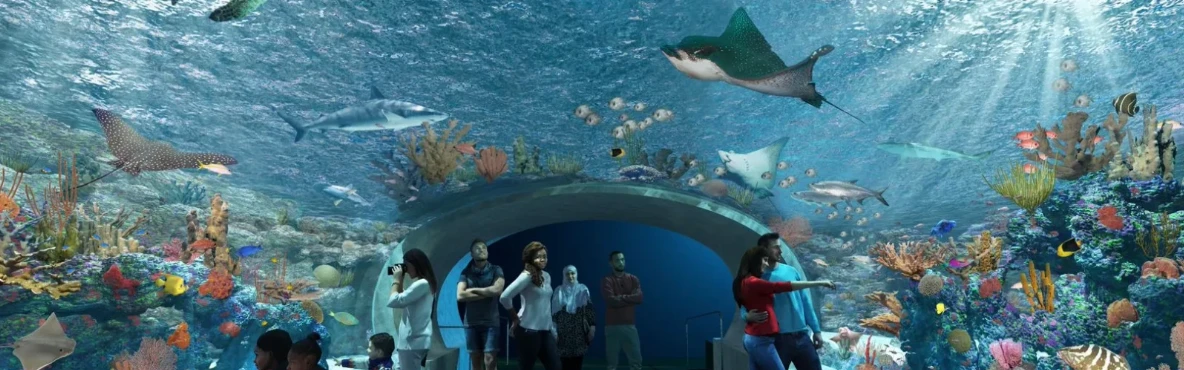 Uncover the Best Hotels Close to Shedd Aquarium for a Memorable Stay