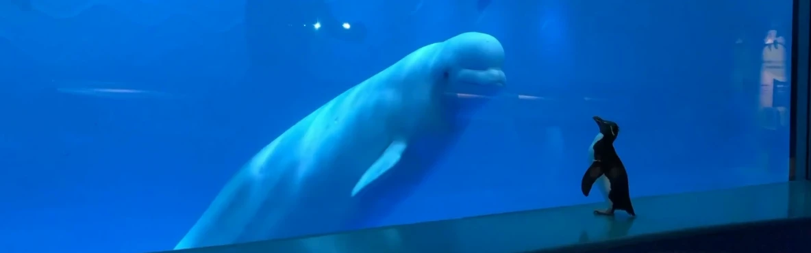 Unwind in Comfort: Top Hotels Near Shedd Aquarium With Parking
