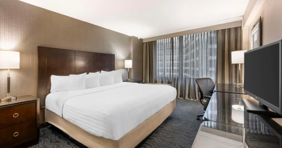 Uncover the Best Hotels Close to Shedd Aquarium for a Memorable Stay