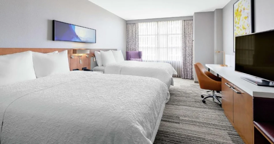 Underwater Wonders and Upscale Stays: Hotels Near Shedd Aquarium
