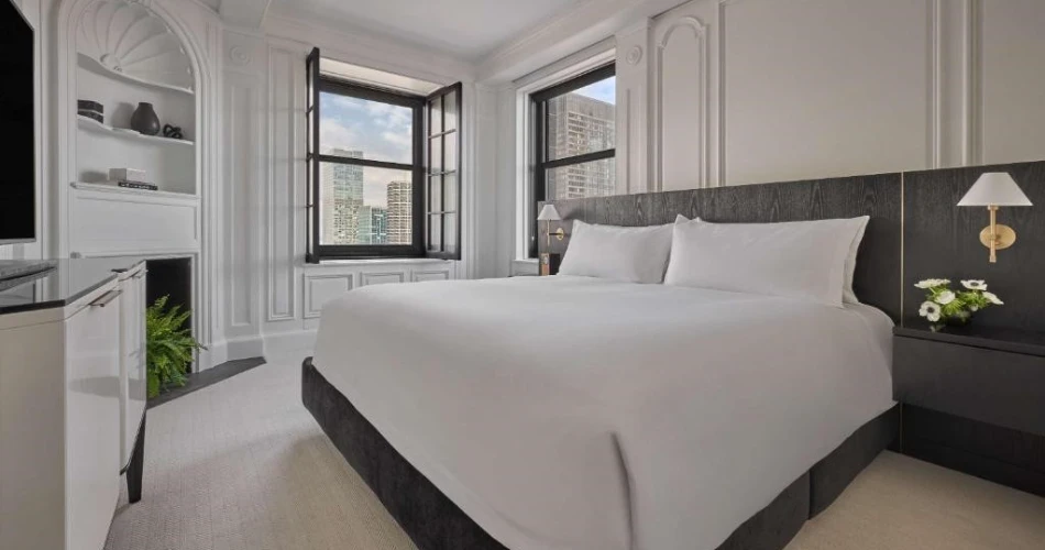 12 Incredible Hotels Near Shedd Aquarium for the Ultimate Chicago Staycation