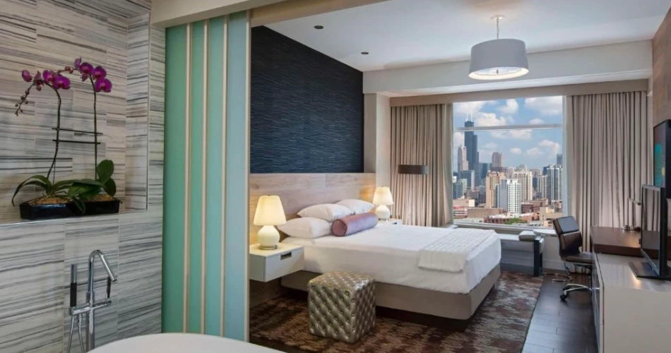 12 Incredible Hotels Near Shedd Aquarium for the Ultimate Chicago Staycation