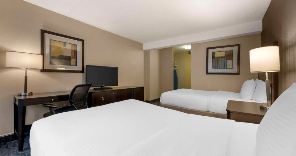 Lakefront Living: Hotels Near Shedd Aquarium and Chicago’s Iconic Attractions
