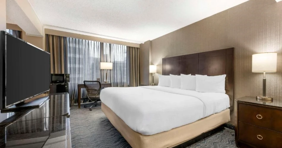 Chicago’s Lakeside Escape: Hotels Near Shedd Aquarium for Every Budget